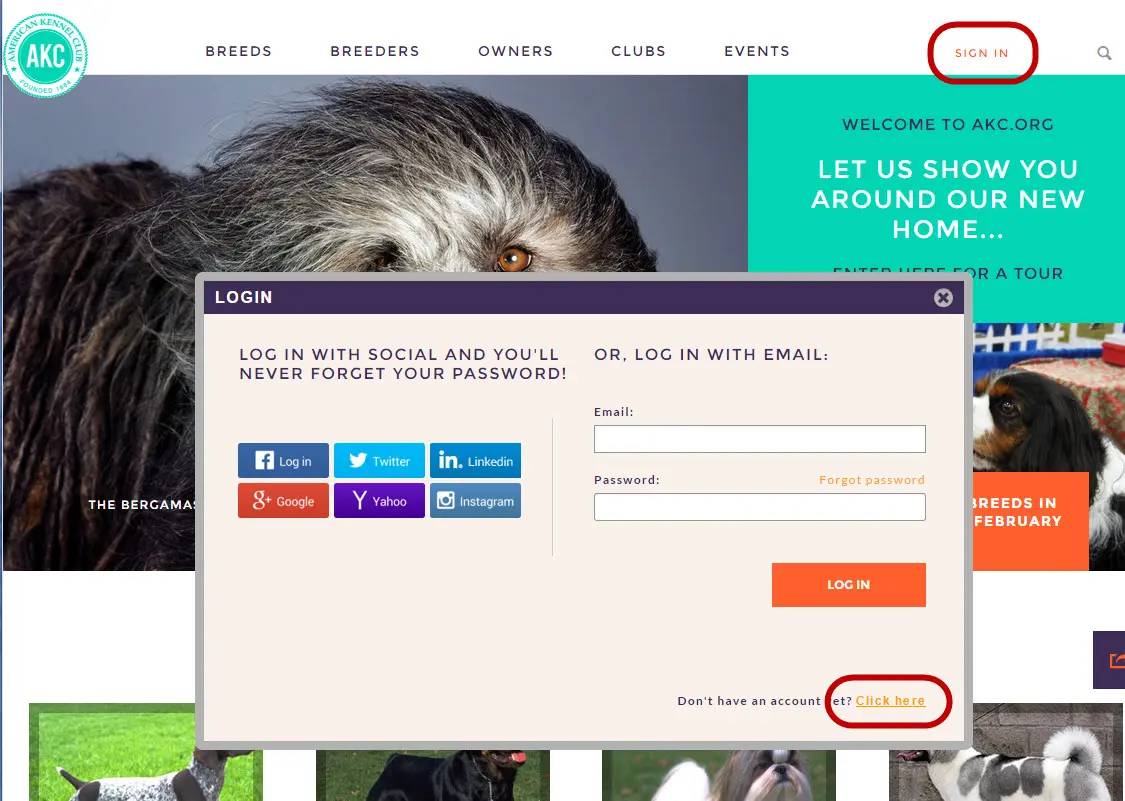 american kennel club app screenshot