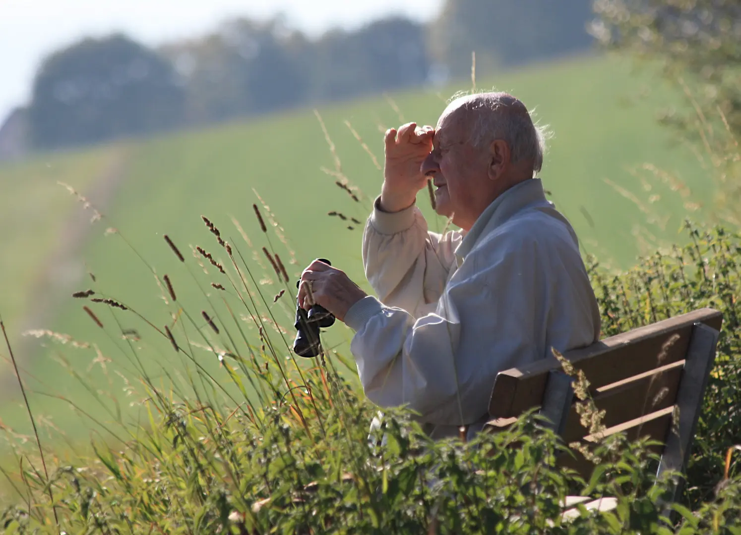 glücklicher hund mit mensch