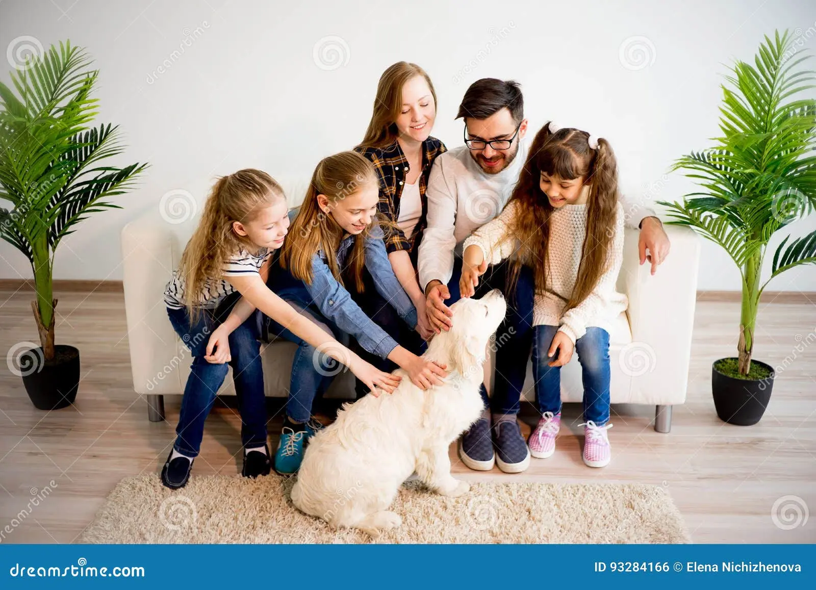 hund spielt apportieren