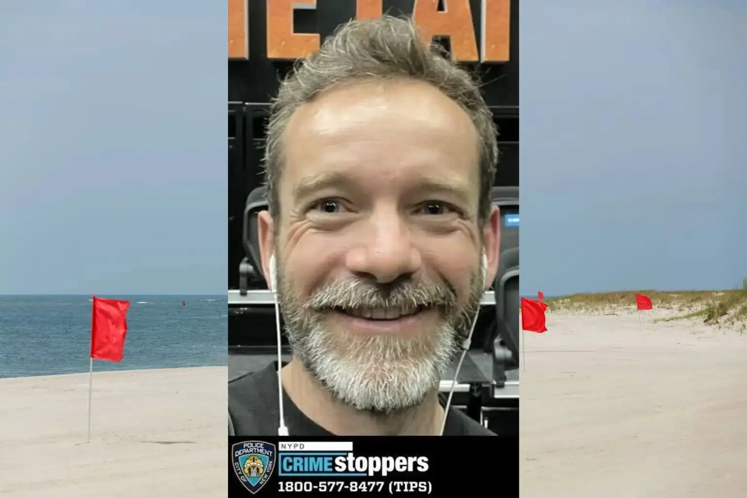 Irischer Setter beim Apportieren