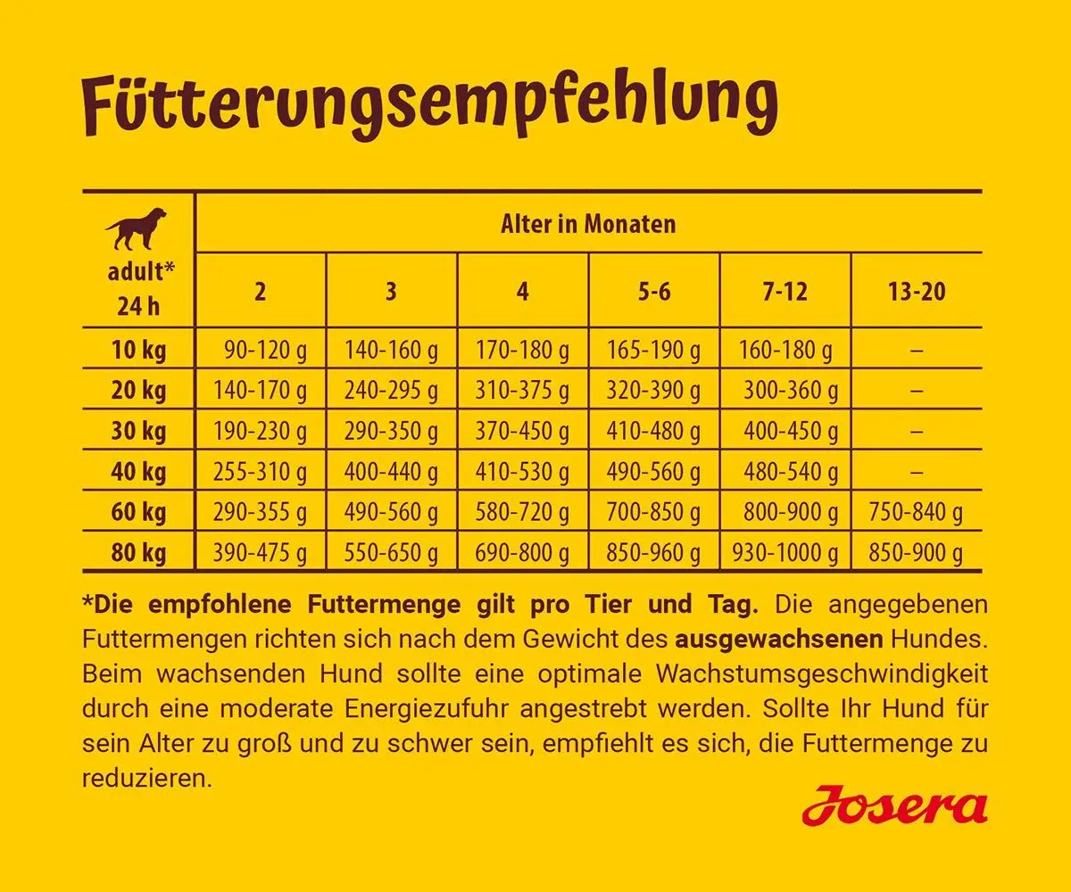 Labrador Retriever Welpe