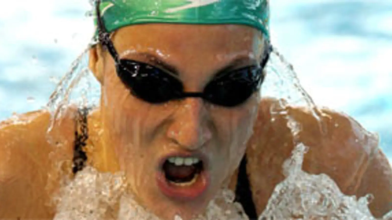 Neufundländer schwimmen